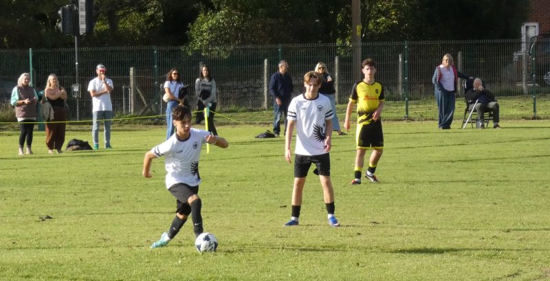 Kites photo