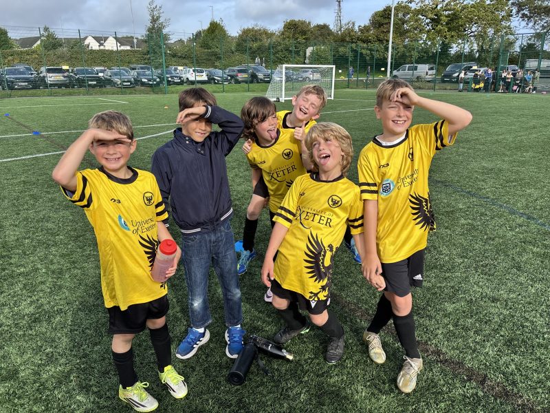 Merlins Yellow photo