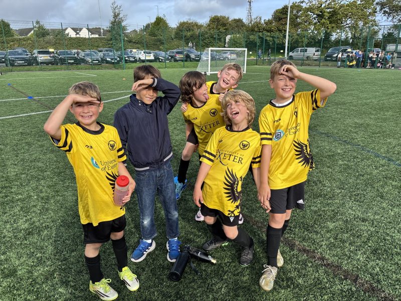 Merlins Yellow photo