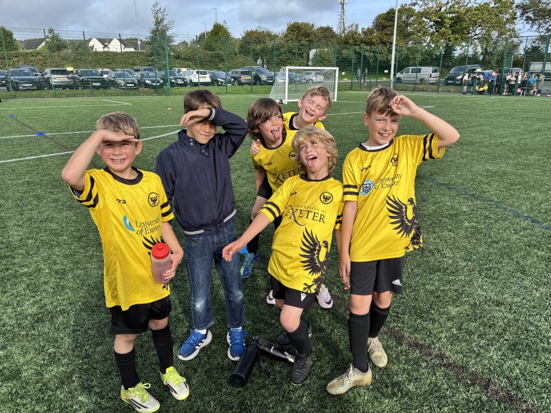 Merlins Yellow photo