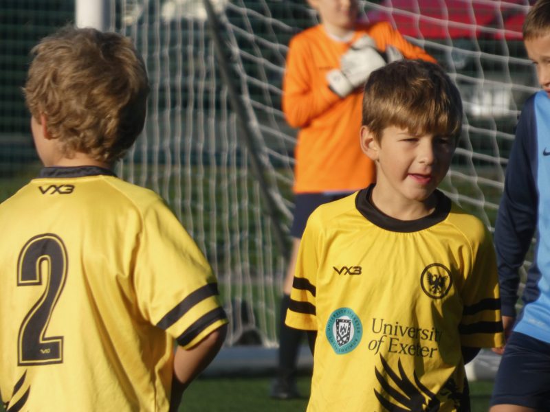 Merlins Yellow photo