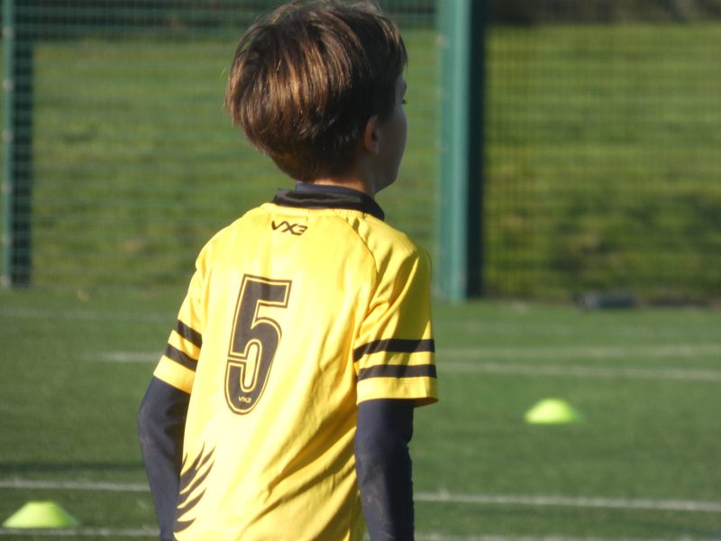 Merlins Yellow photo