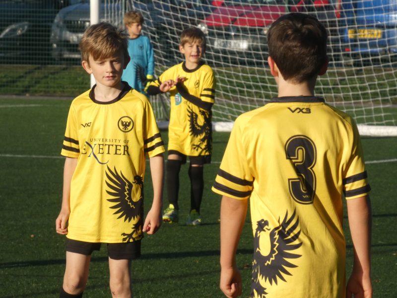 Merlins Yellow photo