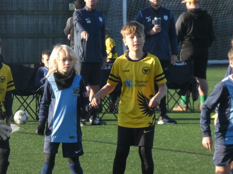 Merlins Yellow photo