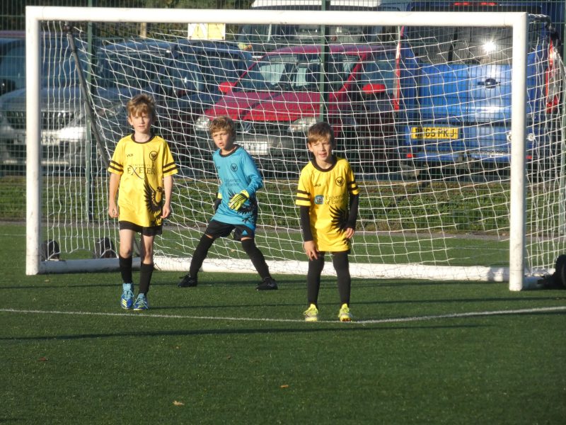 Merlins Yellow photo