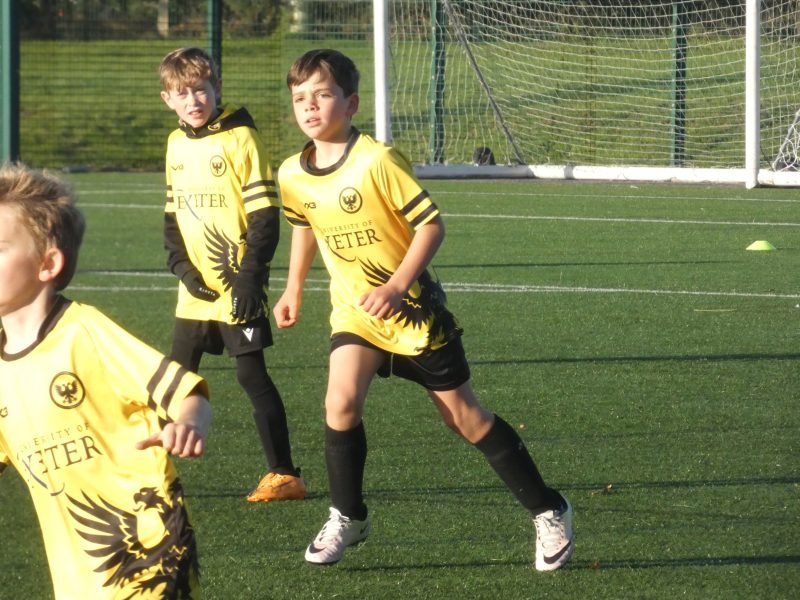 Merlins Yellow photo