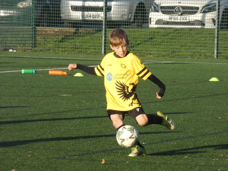Merlins Yellow photo