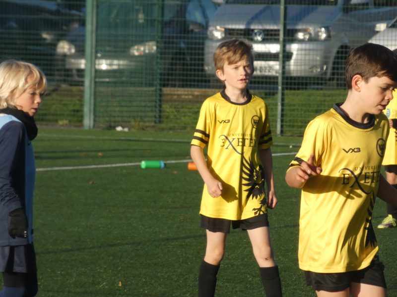 Merlins Yellow photo