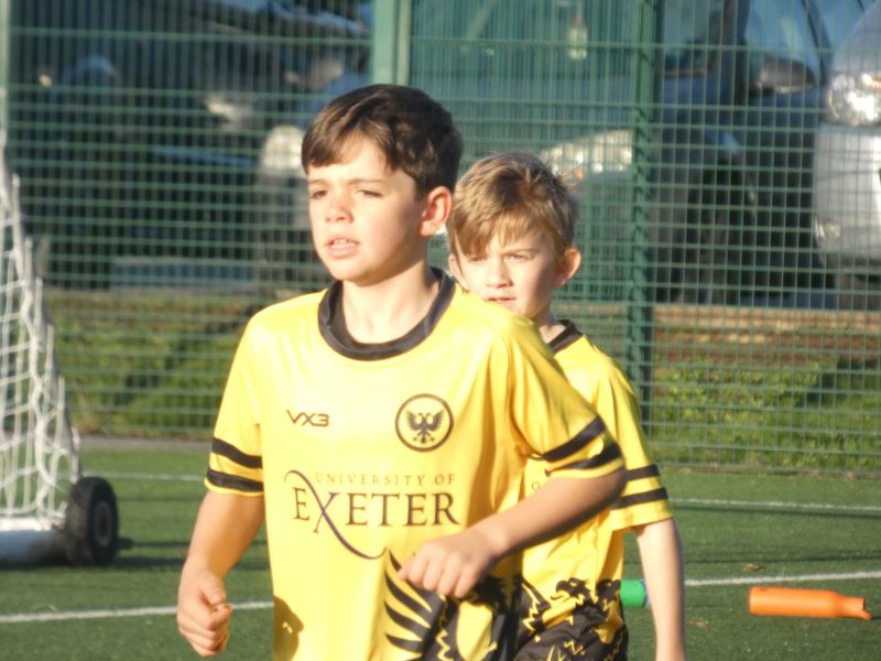 Merlins Yellow photo