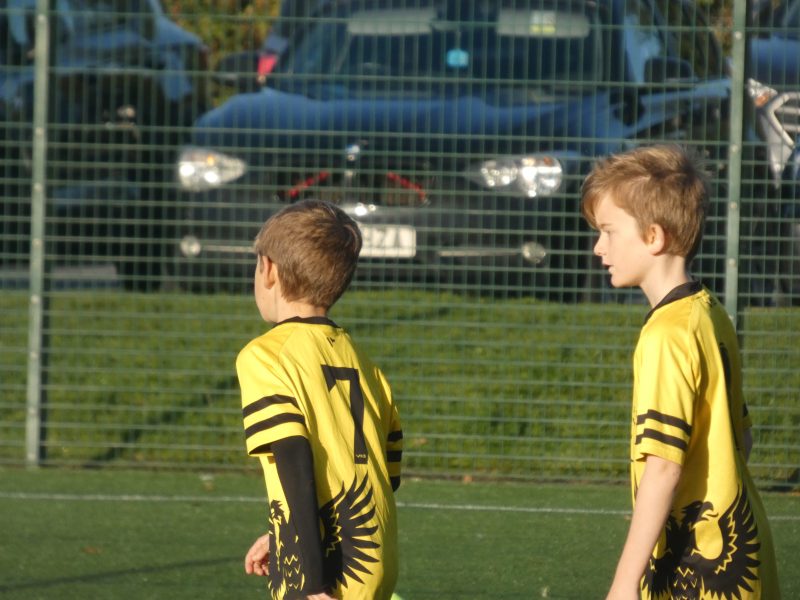 Merlins Yellow photo
