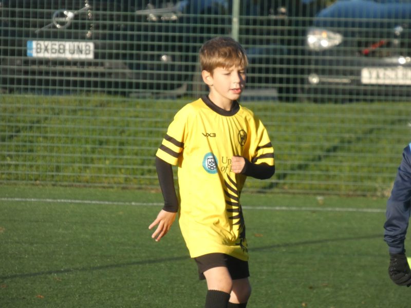 Merlins Yellow photo