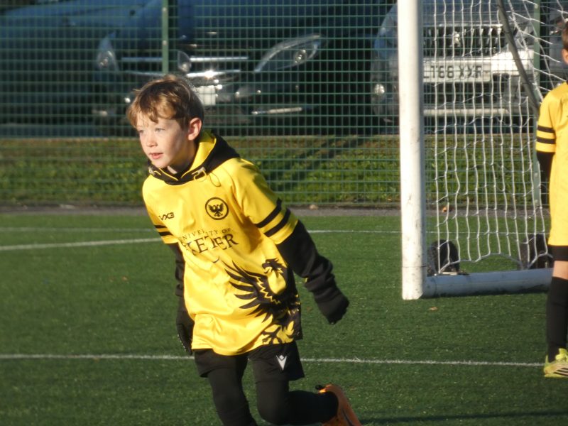 Merlins Yellow photo