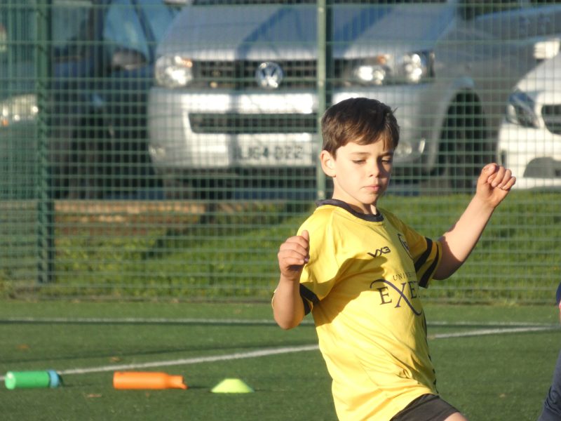Merlins Yellow photo